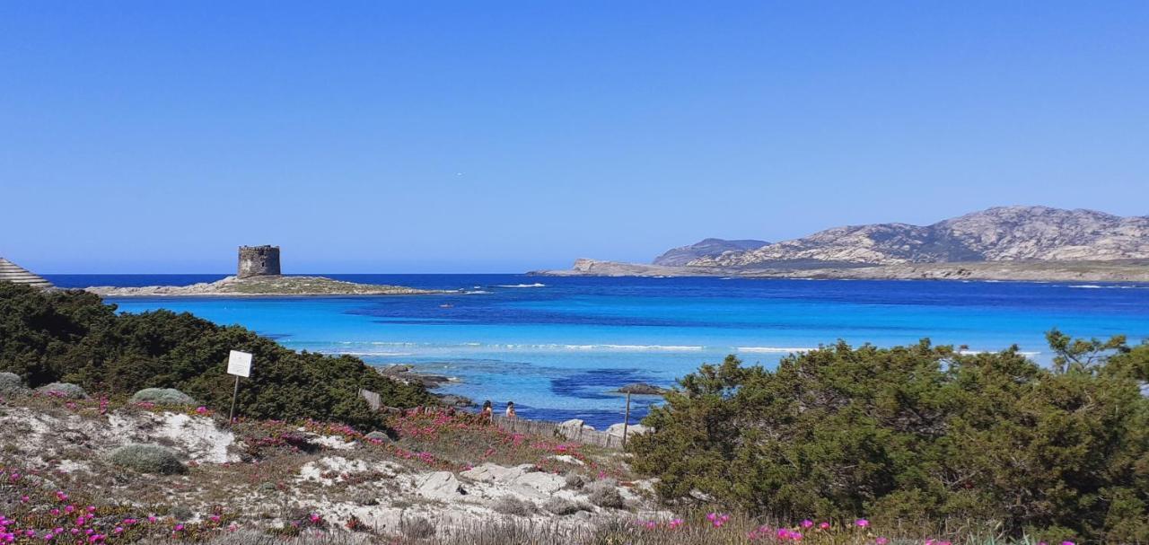 B&B Giomar Sardegna Nord Ovest Campanedda Luaran gambar